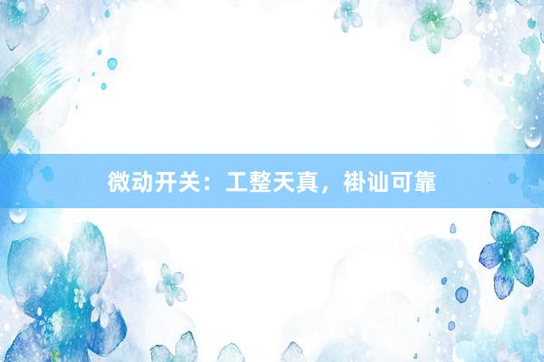 微动开关：工整天真，褂讪可靠