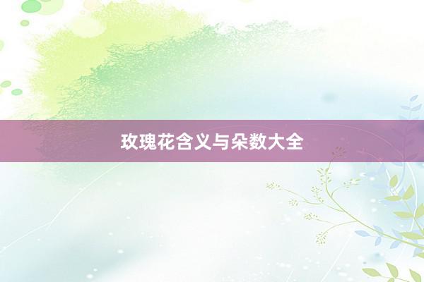 玫瑰花含义与朵数大全