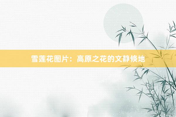 雪莲花图片：高原之花的文静倏地