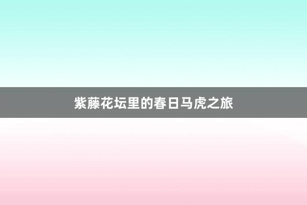 紫藤花坛里的春日马虎之旅